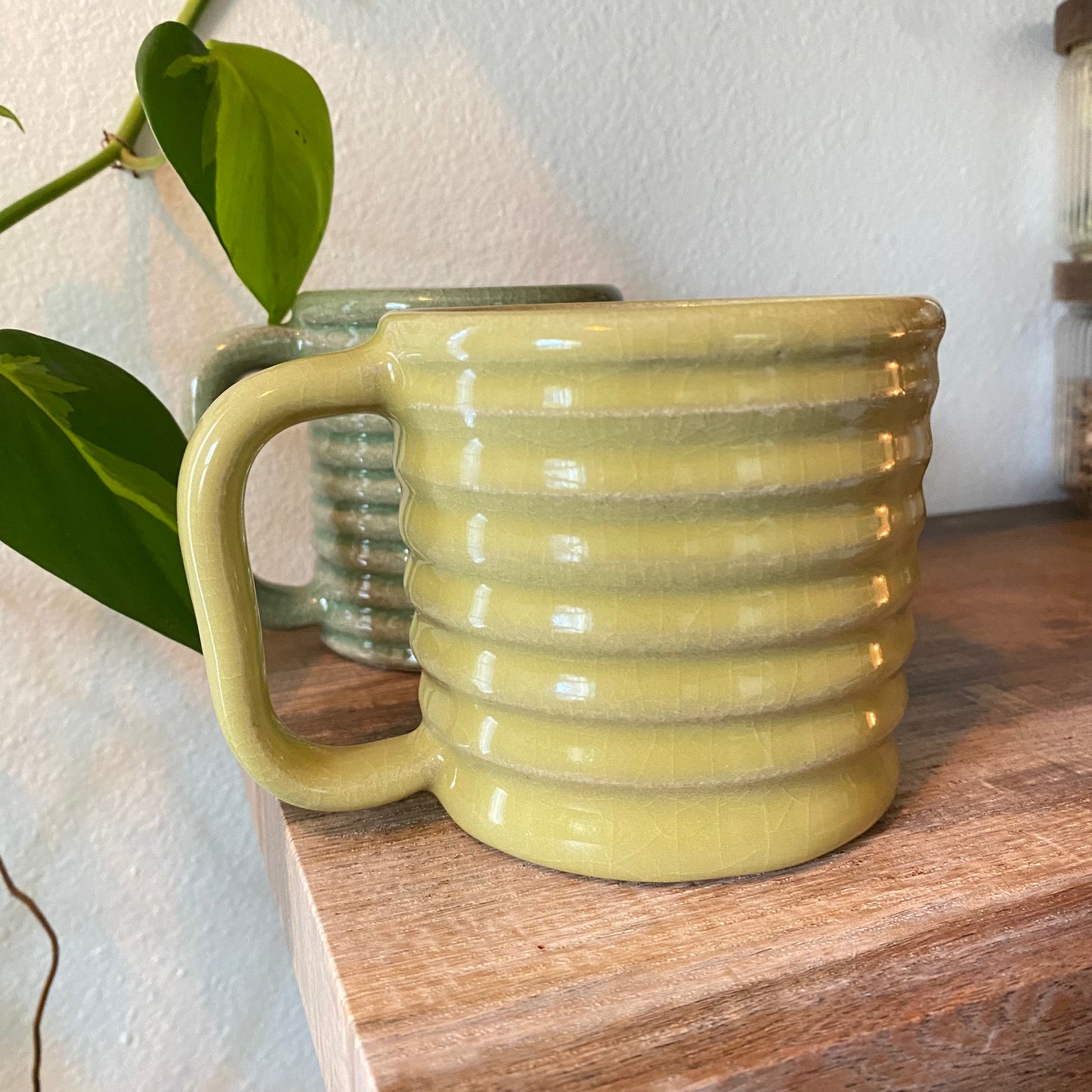 Rippled Canary